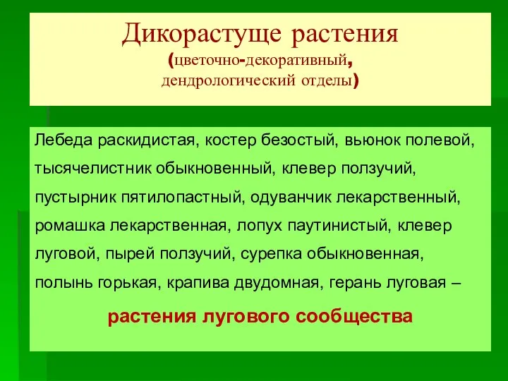 Дикорастуще растения (цветочно-декоративный, дендрологический отделы) Лебеда раскидистая, костер безостый, вьюнок полевой, тысячелистник