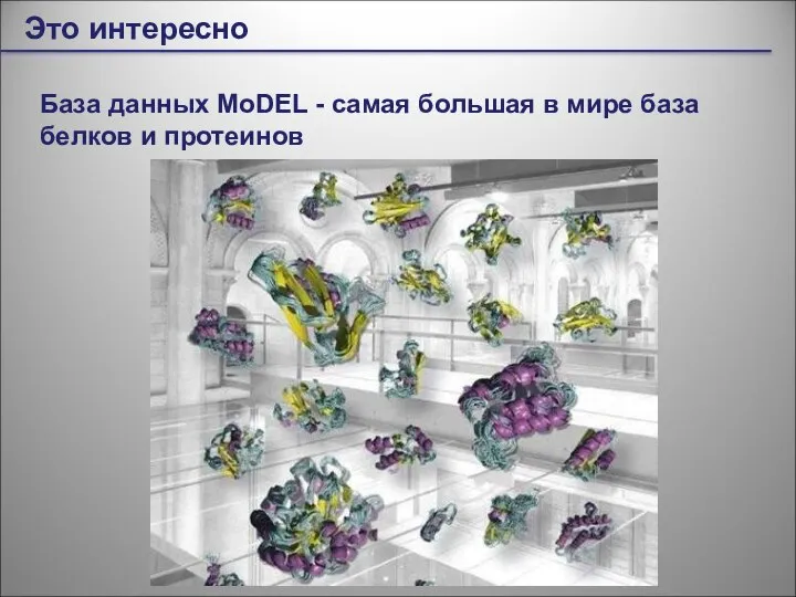 Это интересно База данных MoDEL - самая большая в мире база белков и протеинов