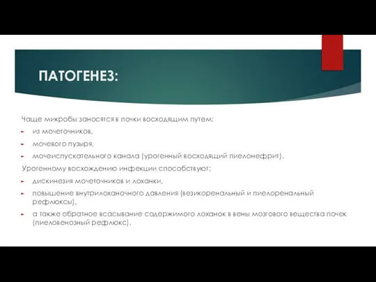 ПАТОГЕНЕЗ: Чаще микробы заносятся в почки восходящим путем: из мочеточников, мочевого пузыря,