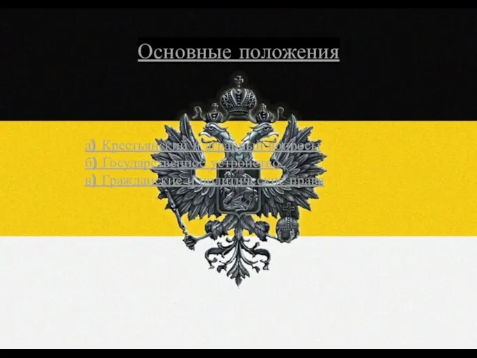 Основные положения а) Крестьянский и аграрный вопросы б) Государственное устройство в) Гражданские и политические права