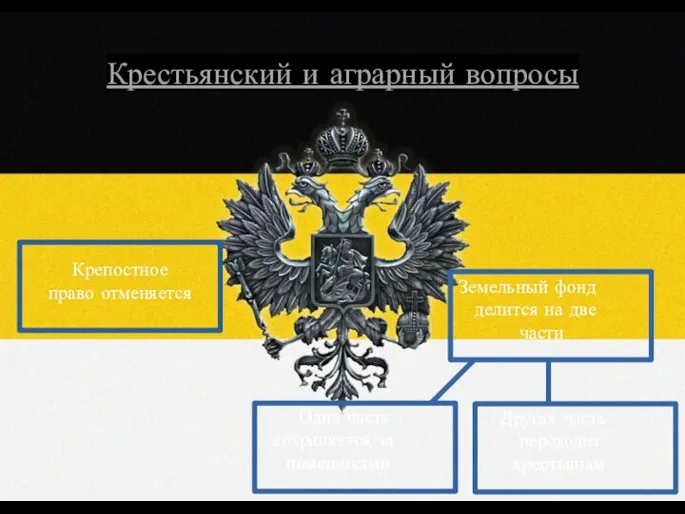 Крестьянский и аграрный вопросы Крепостное право отменяется Земельный фонд делится на две