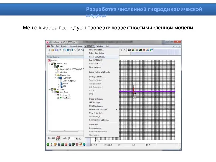 Меню выбора процедуры проверки корректности численной модели