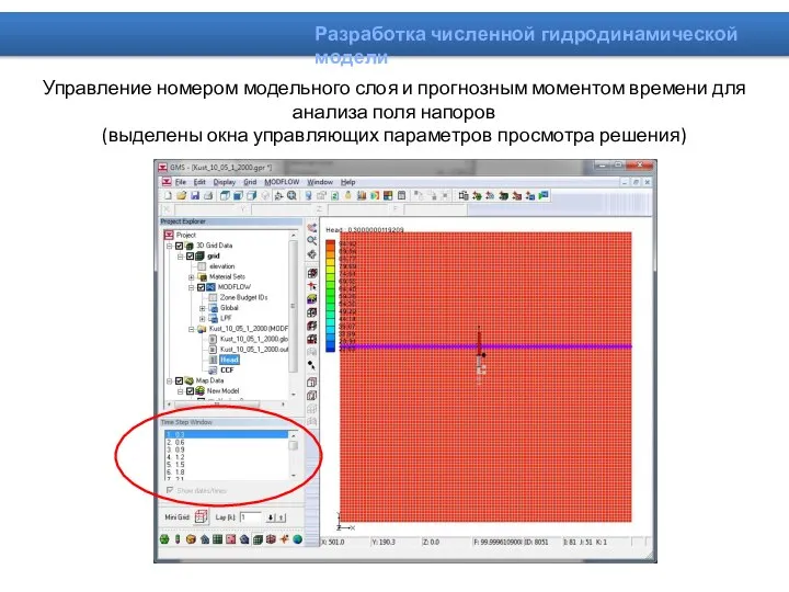 Управление номером модельного слоя и прогнозным моментом времени для анализа поля напоров