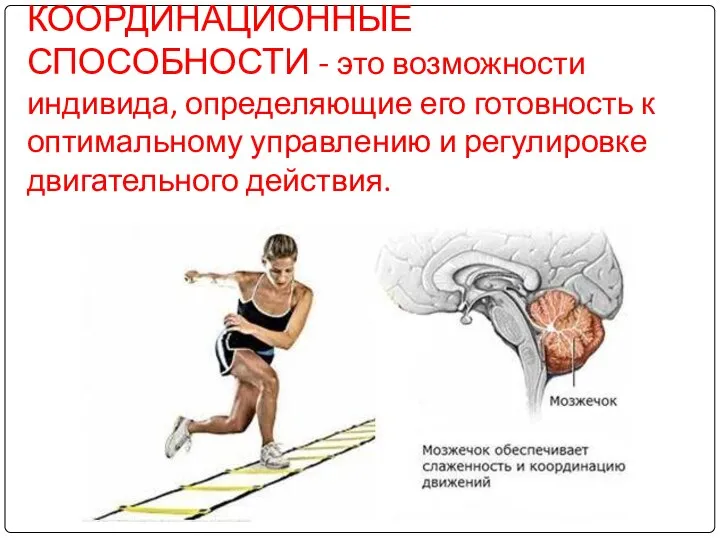 КООРДИНАЦИОННЫЕ СПОСОБНОСТИ - это возможности индивида, определяющие его готовность к оптимальному управлению и регулировке двигательного действия.