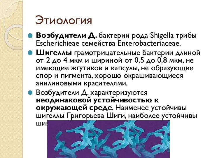 Этиология Возбудители Д. бактерии рода Shigella трибы Escherichieae семейства Enterobacteriaceae. Шигеллы грамотрицательные