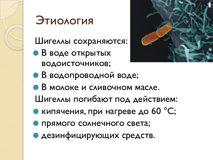 Этиология Шигеллы сохраняются: В воде открытых водоисточников; В водопроводной воде; В молоке