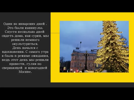 Один из январских дней. Это были каникулы. Спустя несколько дней сидеть дома,