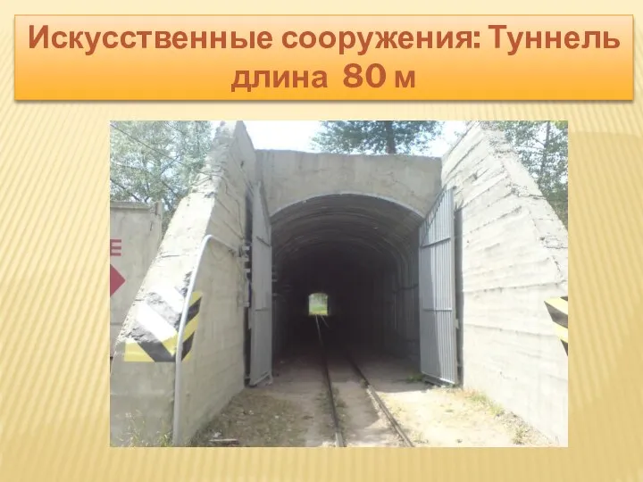 Искусственные сооружения: Туннель длина 80 м