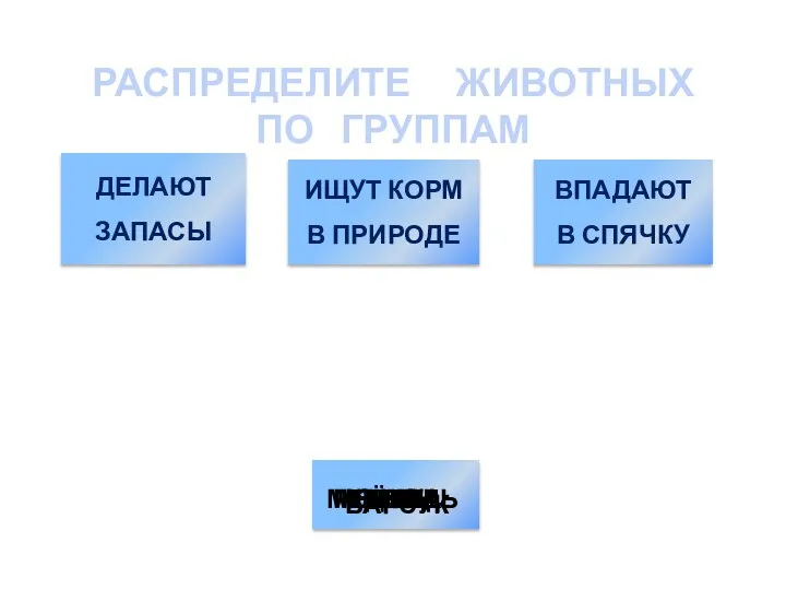 РАСПРЕДЕЛИТЕ ЖИВОТНЫХ ПО ГРУППАМ ДЕЛАЮТ ЗАПАСЫ ВПАДАЮТ В СПЯЧКУ ИЩУТ КОРМ В