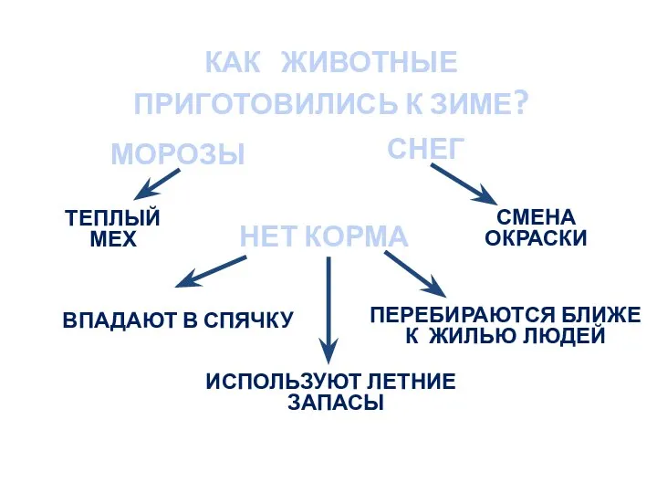 ТЕПЛЫЙ МЕХ ВПАДАЮТ В СПЯЧКУ СМЕНА ОКРАСКИ НЕТ КОРМА МОРОЗЫ СНЕГ КАК