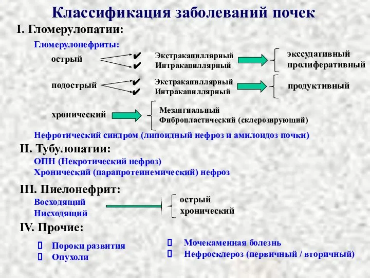 Классификация заболеваний почек I. Гломерулопатии: II. Тубулопатии: III. Пиелонефрит: IV. Прочие: острый