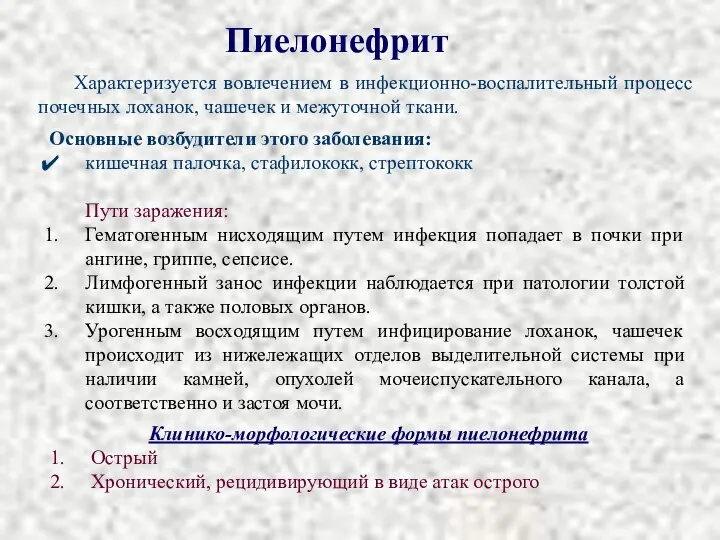 Пиелонефрит Характеризуется вовлечением в инфекционно-воспалительный процесс почечных лоханок, чашечек и межуточной ткани.