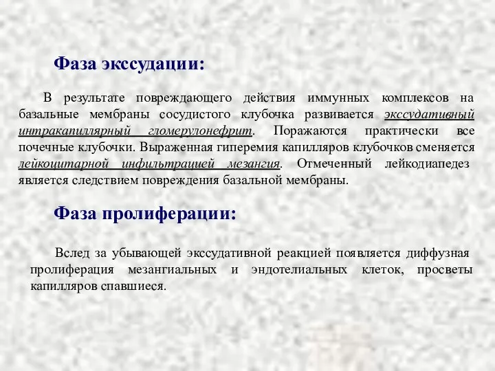 Фаза экссудации: В результате повреждающего действия иммунных комплексов на базальные мембраны сосудистого