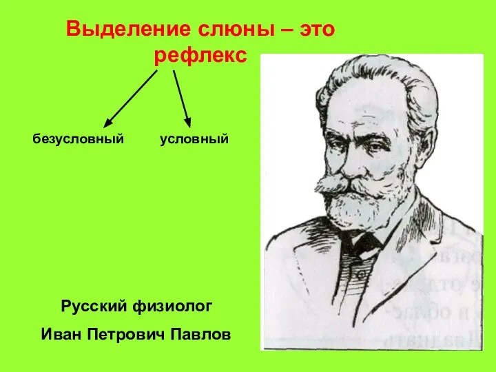 Выделение слюны – это рефлекс безусловный условный Русский физиолог Иван Петрович Павлов