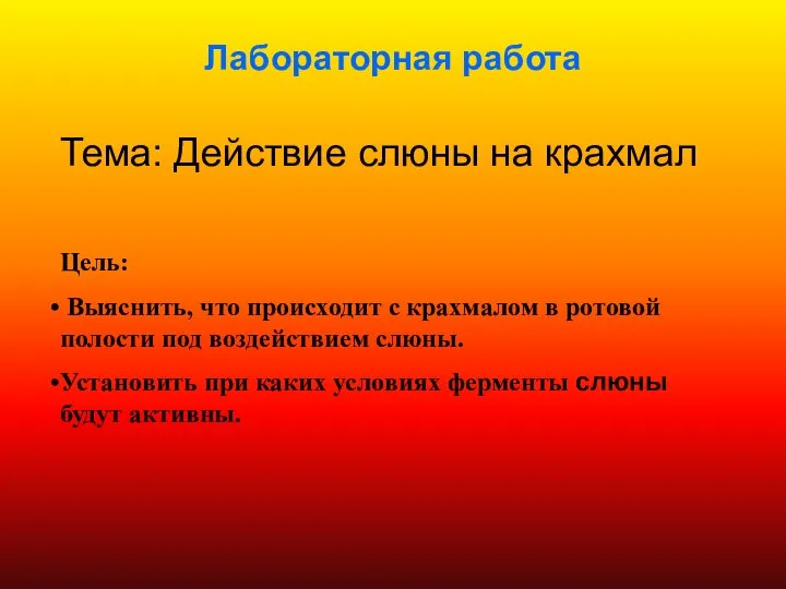 Лабораторная работа Тема: Действие слюны на крахмал Цель: Выяснить, что происходит с