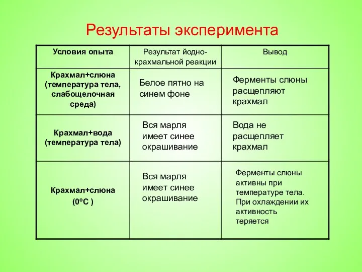 Результаты эксперимента Белое пятно на синем фоне Ферменты слюны расщепляют крахмал Вся