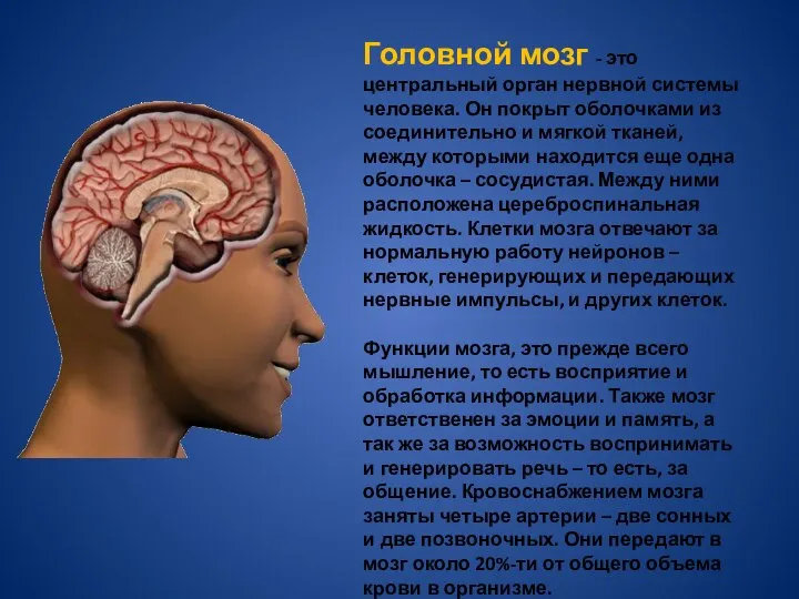 Головной мозг - это центральный орган нервной системы человека. Он покрыт оболочками