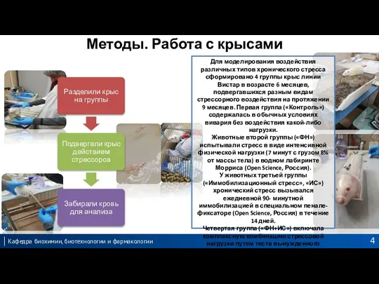 Методы. Работа с крысами Для моделирования воздействия различных типов хронического стресса сформировано