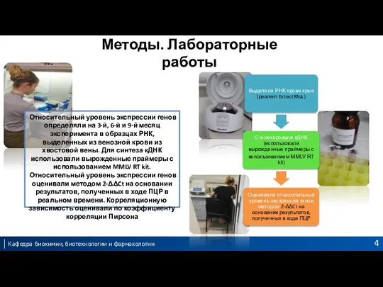 Методы. Лабораторные работы Относительный уровень экспрессии генов определяли на 3-й, 6-й и