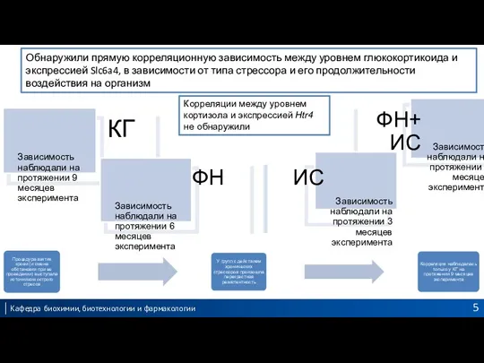 Обнаружили прямую корреляционную зависимость между уровнем глюкокортикоида и экспрессией Slc6a4, в зависимости