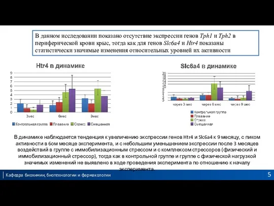 В данном исследовании показано отсутствие экспрессии генов Tph1 и Tph2 в периферической