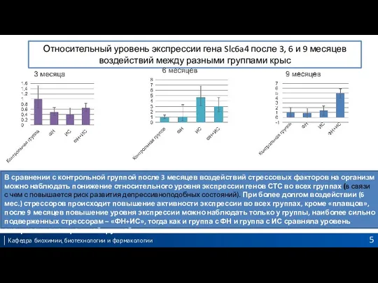 Относительный уровень экспрессии гена Slc6a4 после 3, 6 и 9 месяцев воздействий