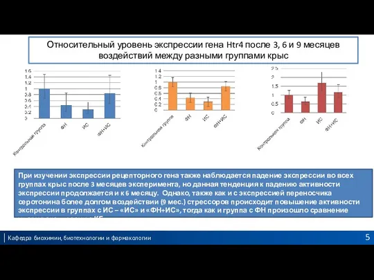 Относительный уровень экспрессии гена Htr4 после 3, 6 и 9 месяцев воздействий