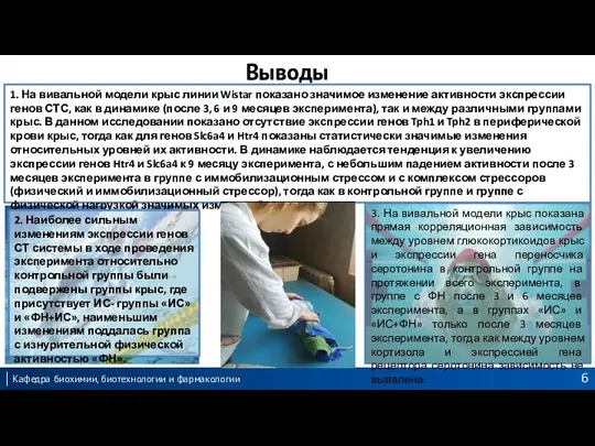 Выводы 1. На вивальной модели крыс линии Wistar показано значимое изменение активности