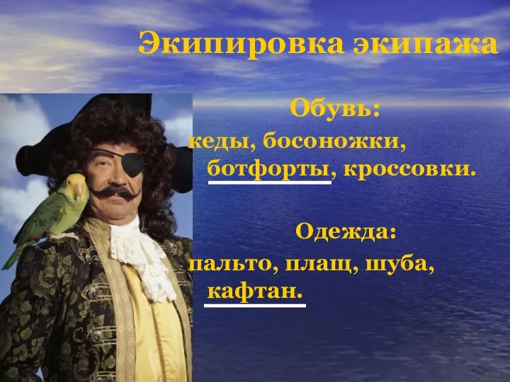 Обувь: кеды, босоножки, ботфорты, кроссовки. Одежда: пальто, плащ, шуба, кафтан. Экипировка экипажа