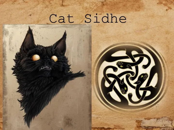 Cat Sidhe