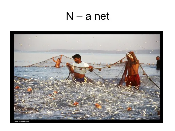 N – a net