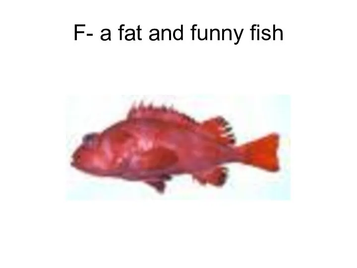 F- a fat and funny fish
