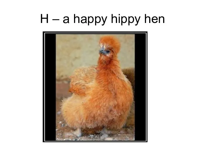 H – a happy hippy hen