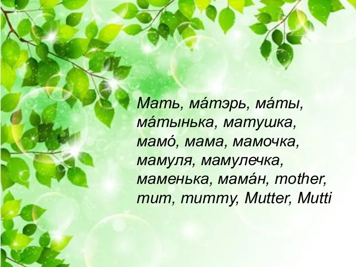 Мать, мáтэрь, мáты, мáтынька, матушка, мамó, мама, мамочка, мамуля, мамулечка, маменька, мамáн,