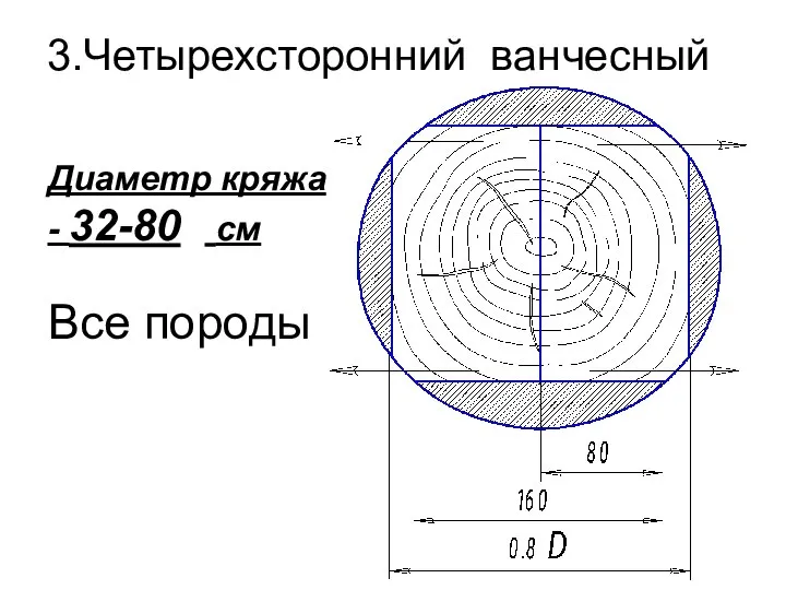 3.Четырехсторонний ванчесный Диаметр кряжа - 32-80 см Все породы