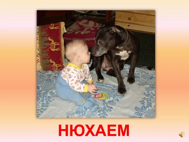 НЮХАЕМ