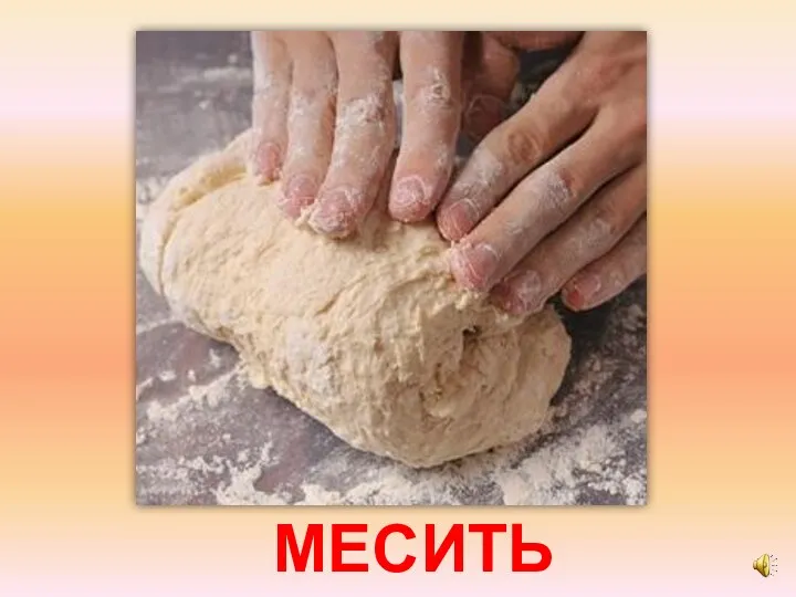 МЕСИТЬ