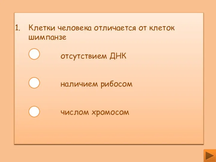 Клетки человека отличается от клеток шимпанзе отсутствием ДНК наличием рибосом числом хромосом