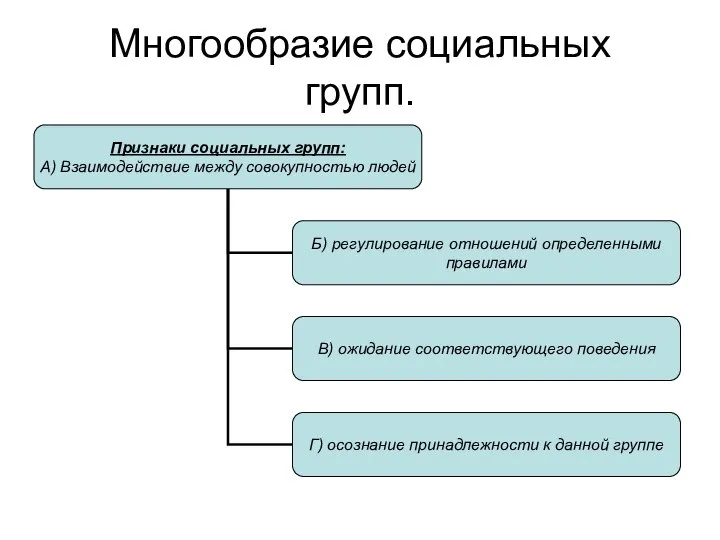 Многообразие социальных групп.