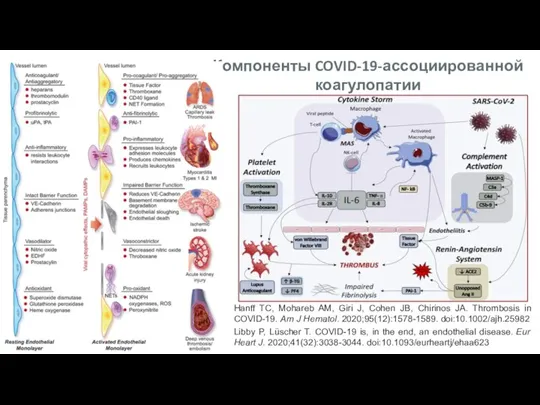 Hanff TC, Mohareb AM, Giri J, Cohen JB, Chirinos JA. Thrombosis in