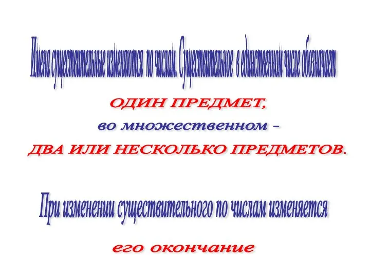 Имена существительные изменяются по числам. Существительное в единственном числе обозначает ОДИН ПРЕДМЕТ,