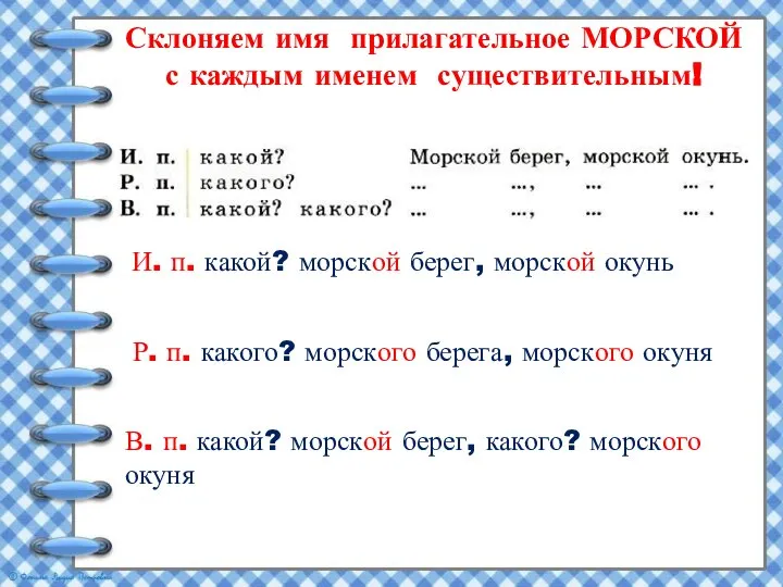 Склоняем имя прилагательное МОРСКОЙ с каждым именем существительным! И. п. какой? морской