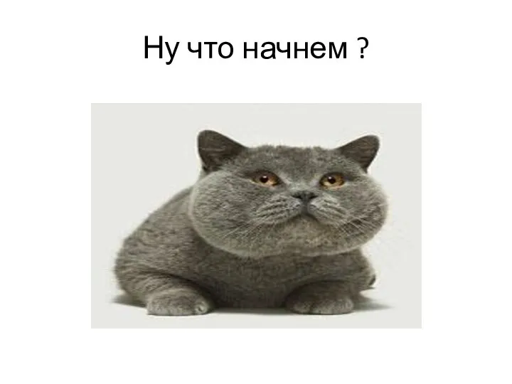 Ну что начнем ?