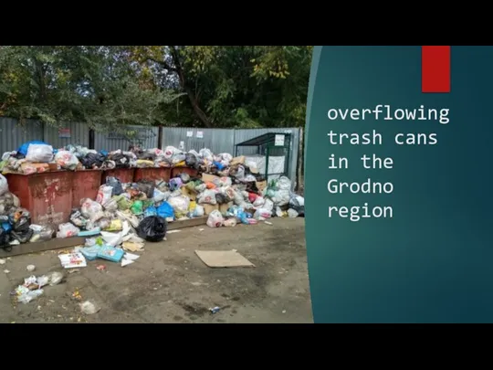 overflowing trash cans in the Grodno region