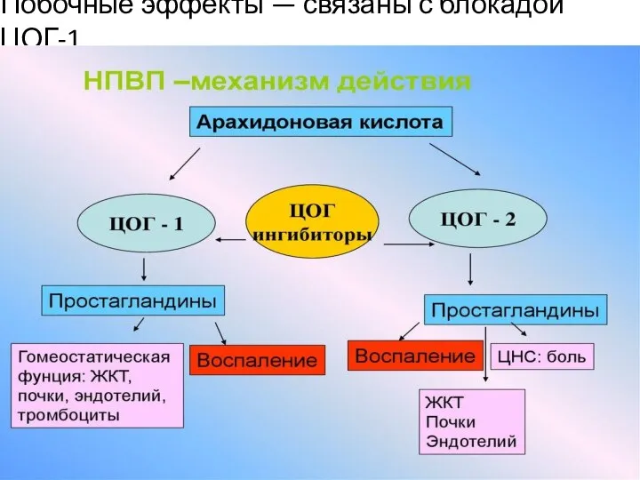 Побочные эффекты — связаны с блокадой ЦОГ-1