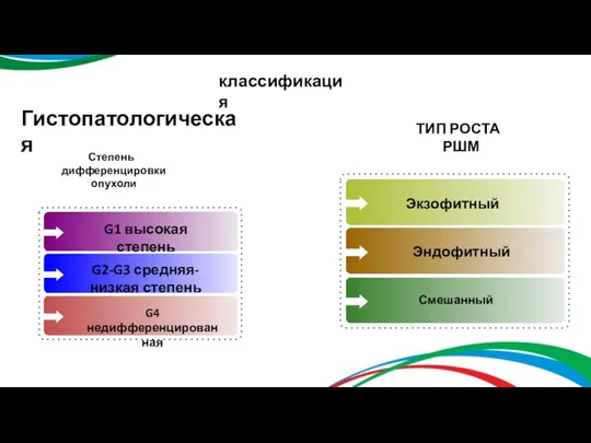 Гистопатологическая Степень дифференцировки опухоли ТИП РОСТА РШМ классификация