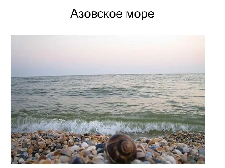 Азовское море