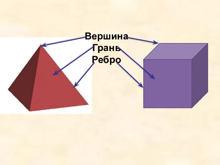 Вершина Грань Ребро