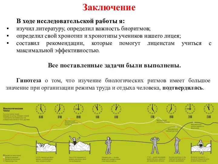 Заключение В ходе исследовательской работы я: изучил литературу, определил важность биоритмов; определил