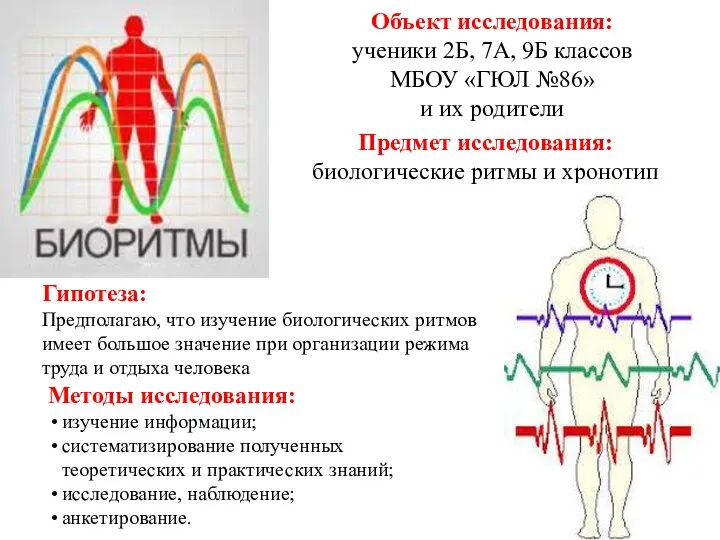 Объект исследования: ученики 2Б, 7А, 9Б классов МБОУ «ГЮЛ №86» и их